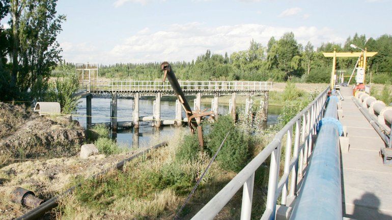 El joven se arrojó del muelle