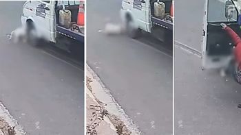 despiadado: atropello a un perro, lo miro como sufria para salir de abajo de las ruedas y luego lo abandono despiadado: atropello a un perro, lo miro como sufria para salir de abajo de las ruedas y luego lo abandono