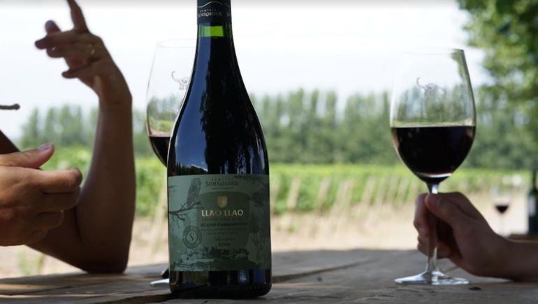 De lujo: se presentará el vino Llao Llao Blend Patagónico 2018 en Neuquén