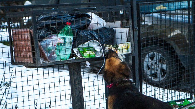 San Martín es una mugre tras el temporal. Foto: Federico Soto