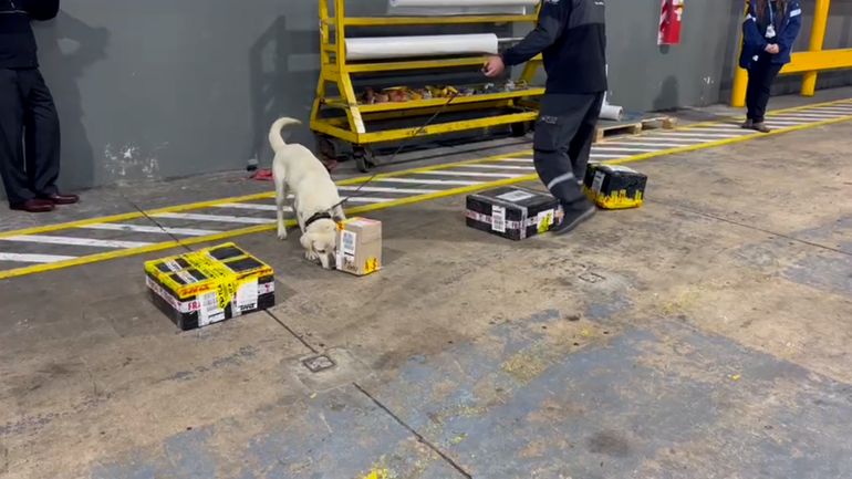 Un perro de la Aduana detectó fentanilo en el Aeropuerto días atrás. Un perro de la Aduana detectó fentanilo en el Aeropuerto días atrás.