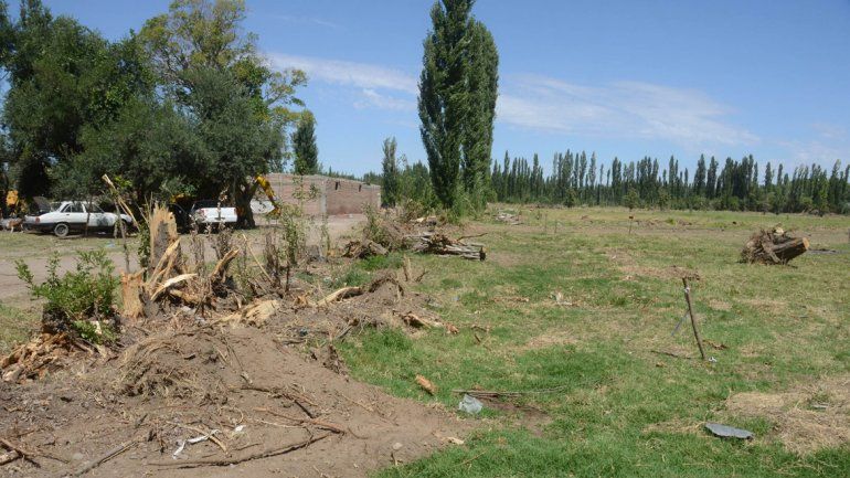 Muchas chacras ya fueron desmontadas para comenzar con el trabajo de loteo.