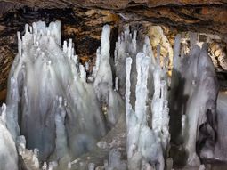 Cueva de Scarisoara, en Rumania, donde de halló la bacteria de alto impacto científico. Cueva de Scarisoara, en Rumania, donde de halló la bacteria de alto impacto científico.