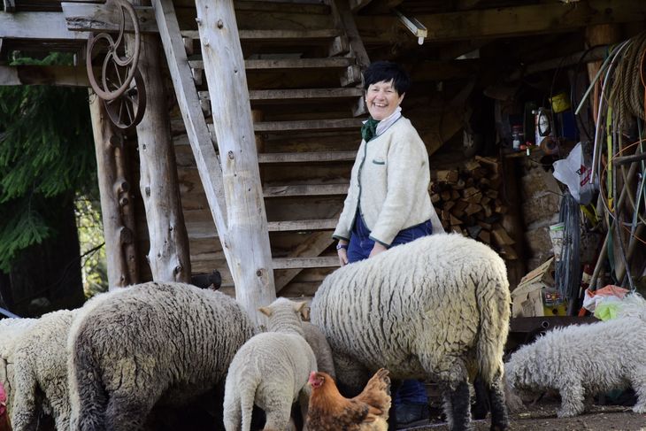 El concurso de proyectos de Mujeres Rurales lleva cuatro ediciones, ha sumado 15 ganadoras de distintos puntos de la provincia y se han recibido unos 145 proyectos en total. Gentileza: Secretaría de Producción. El concurso de proyectos de Mujeres Rurales lleva cuatro ediciones, ha sumado 15 ganadoras de distintos puntos de la provincia y se han recibido unos 145 proyectos en total. Gentileza: Secretaría de Producción.