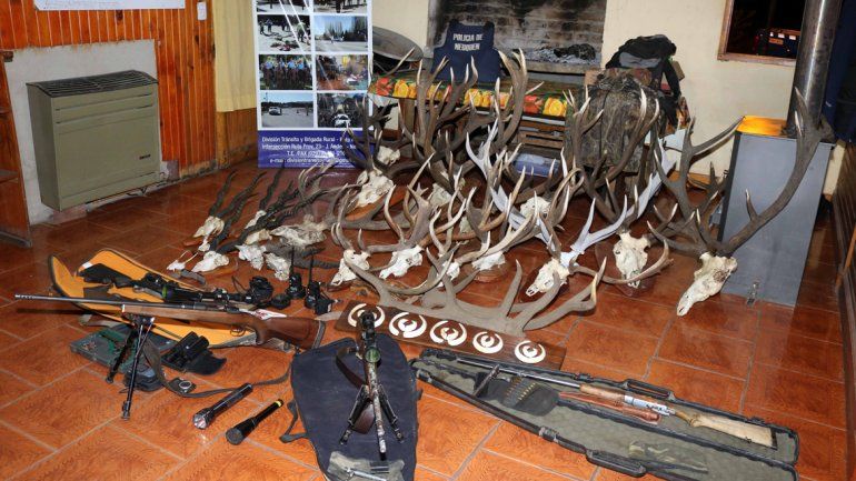 Los elementos secuestrados durante uno de los últimos procedimientos realizados por la Policía fueron trofeos