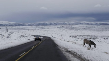 Las rutas en Neuquén complicadas por el temporal de nieve / Foto Prensa Gobierno Las rutas en Neuquén complicadas por el temporal de nieve / Foto Prensa Gobierno
