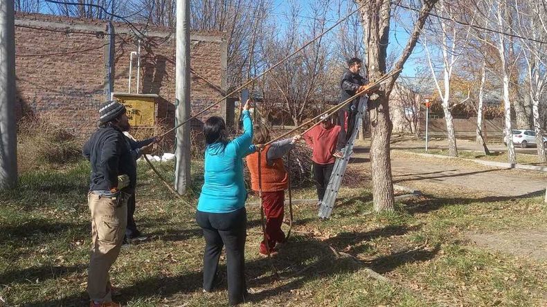 La caída de un árbol sobre una joven en Neuquén reabrió el debate sobre las podas y el cuidado del arbolado urbano | LM Neuquen La caída de un árbol sobre una joven en Neuquén reabrió el debate sobre las podas y el cuidado del arbolado urbano