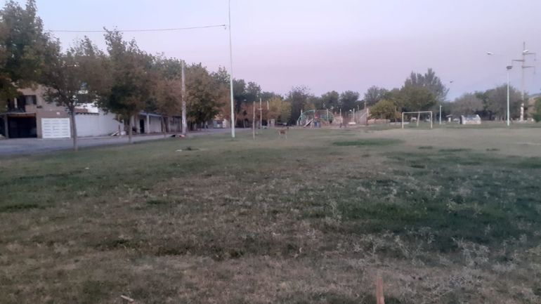 La Justicia investiga un crimen en el barrio 1200 Viviendas de Cipolletti / Foto Archivo