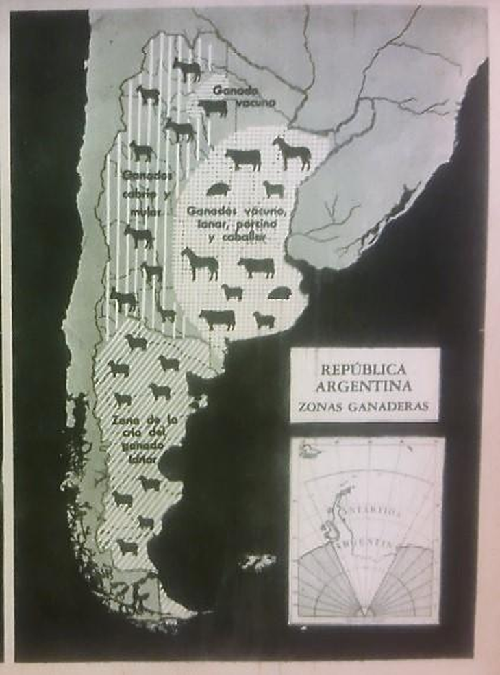 Nacionalización de Argentina con colonizadores más que humanos. Cabe destacar que aquí, TdF aún se representa como un territorio vacío para ocupar. Imagen: Map by J. C. Astolfi, B. Aizcorbe, and A. E. J. Fesquet, 1950. El Trabajo en la zona Agropecuaria, Kapelusz. Nacionalización de Argentina con colonizadores más que humanos. Cabe destacar que aquí, TdF aún se representa como un territorio vacío para ocupar. Imagen: Map by J. C. Astolfi, B. Aizcorbe, and A. E. J. Fesquet, 1950. El Trabajo en la zona Agropecuaria, Kapelusz.