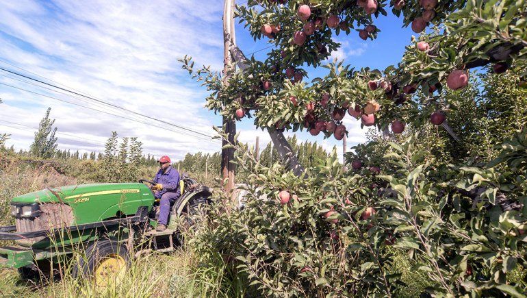 Ley de Emergencia Frutícola: Neuquén pidió la prórroga