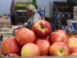 Las compras externas crecieron 43% en 2025, pero representan apenas el 1,2% del consumo total. El foco se desplaza hacia costos internos, tipo de cambio y sostenibilidad del negocio. Las compras externas crecieron 43% en 2025, pero representan apenas el 1,2% del consumo total. El foco se desplaza hacia costos internos, tipo de cambio y sostenibilidad del negocio.