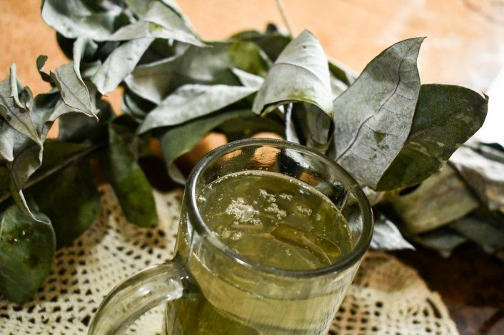 ¿Existen tratamientos caseros para el covid-19?