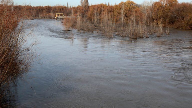 En el río Neuquén el agua baja turbia previo a la crecida
