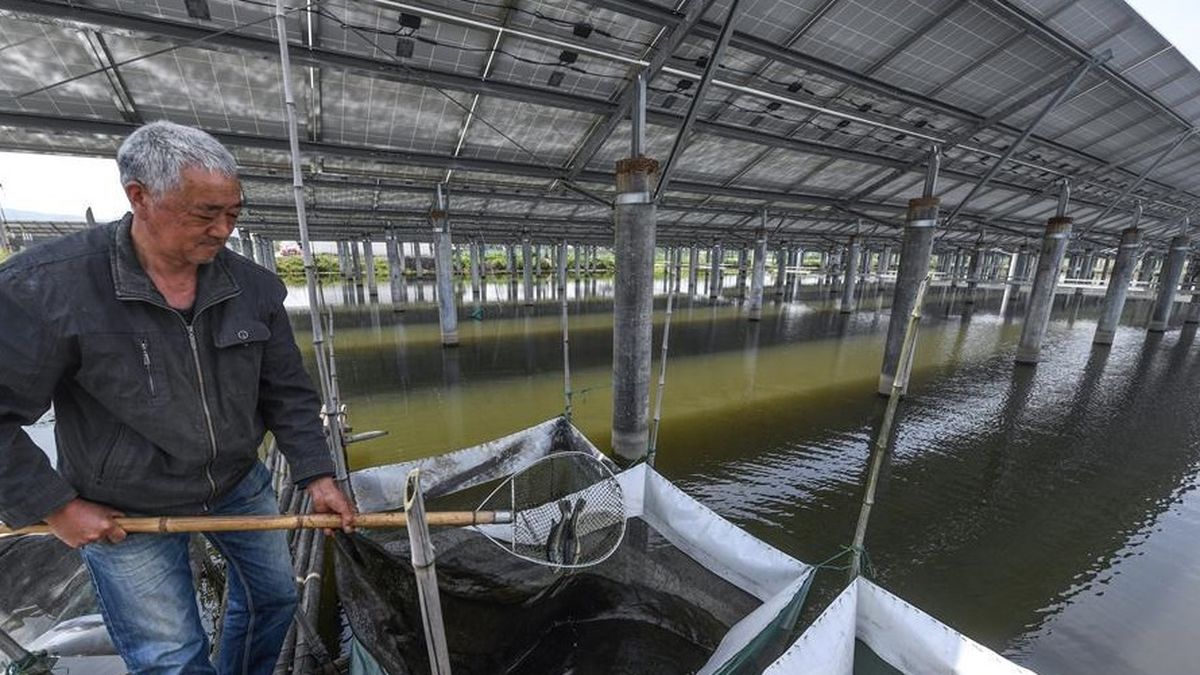 China Insólita Ingresamos A La Granja De Peces Con Energía Solar Más