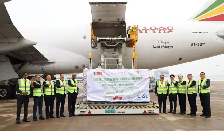 Los arribos aéreos crecieron casi 70% frente al año pasado, saturando al mercado chino y acelerando la caída de precios.