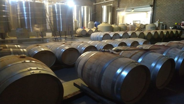 Ladrones desvalijaron la Bodega Fincas del Limay, en Senillosa.