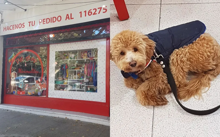Llevó al perro de su ex a la veterinaria y lo abandonó: El cachorro no tiene la culpa