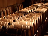 Una buena noticia para la vitivinicultura: fin de las retenciones.