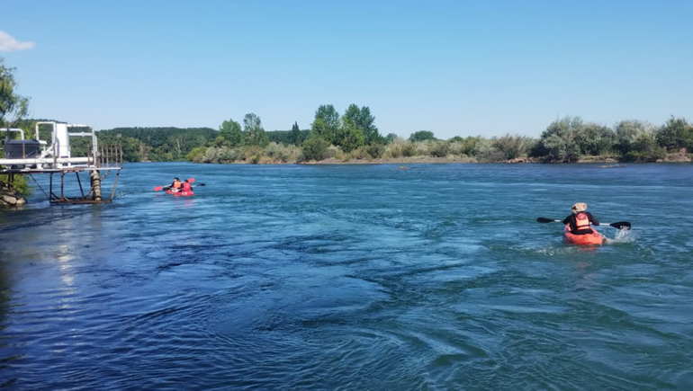 Desaparecido en el río Neuquén: sumarían buzos a la búsqueda