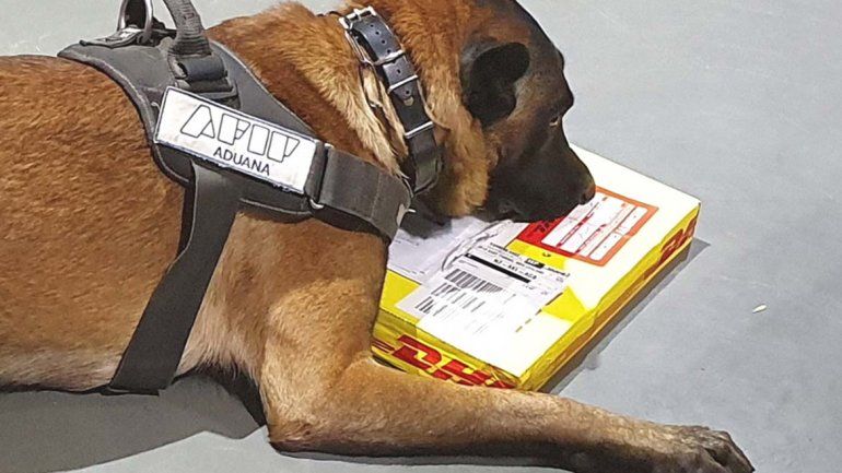 Encuentran droga escondida en un envío postal desde Rosario a Nueva Zelanda