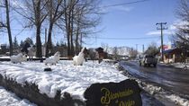 vacaciones de invierno 2025: la imperdible promo 2x1 para conocer el norte neuquino