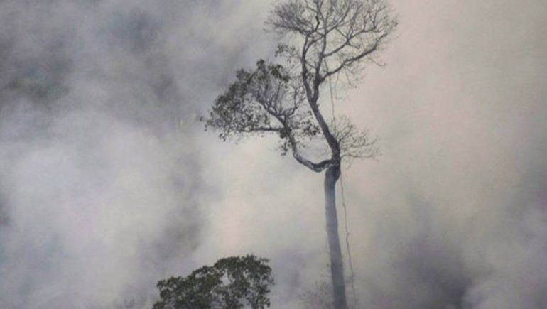Bolsonaro enviará a las Fuerzas Armadas para combatir los incendios forestales