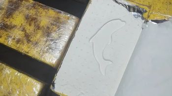 La cocaína secuestrada en Comodoro Rivadavia, con el sello del delfín. La cocaína secuestrada en Comodoro Rivadavia, con el sello del delfín.