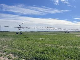 “La Asunción”: 5.000 ha para la nueva frontera agrícola de Río Negro. “La Asunción”: 5.000 ha para la nueva frontera agrícola de Río Negro.