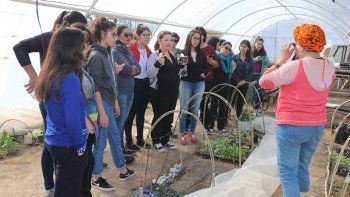 capacitaron a alumnos en siembra de semillas para forestacion