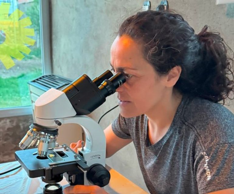 En la Fundación Anfibia analizaron el agua del lugar donde fueron halladas las ranitas de Chalten, para conocer mejor las características de su habitat. En la Fundación Anfibia analizaron el agua del lugar donde fueron halladas las ranitas de Chalten, para conocer mejor las características de su habitat.