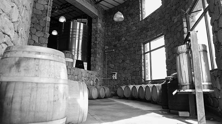 El enoturismo emerge como una herramienta de fidelización poderosa para la bodega. El enoturismo emerge como una herramienta de fidelización poderosa para la bodega.