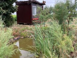 Charca de anfibios en La Rioja. Foto: @Bayer4CropsES Charca de anfibios en La Rioja. Foto: @Bayer4CropsES