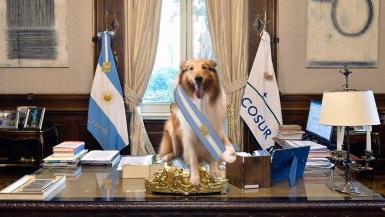 Los memes que le pusieron humor a la incertidumbre por las renuncias en el gobierno