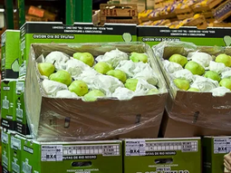 Sin consumo ni precio...una ecuación dramática para la pera argentina en el mercado interno. Sin consumo ni precio...una ecuación dramática para la pera argentina en el mercado interno.