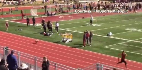 Twitter: perrita se cuela en una carrera de atletismo y termina ganando