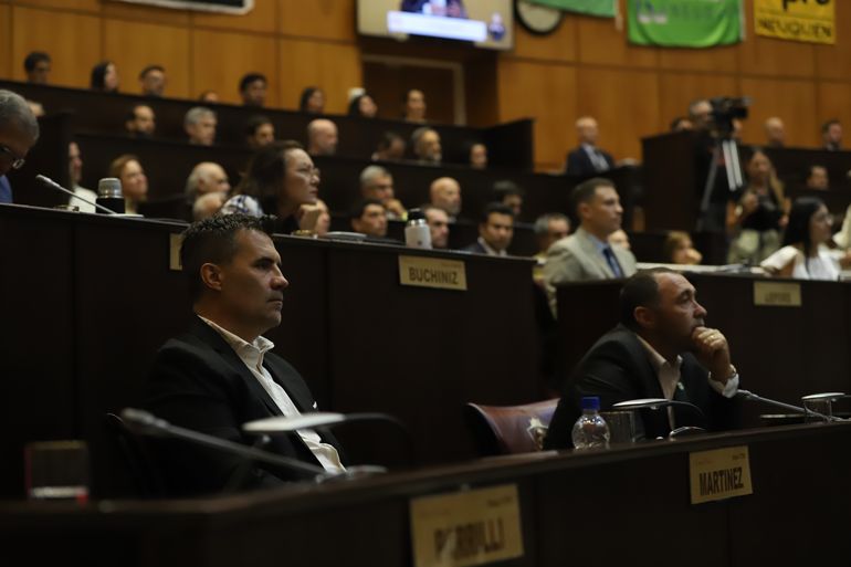 Desde el bloque de UxP, el diputado Darío Martínez aseguró que en Neuquén Desde el bloque de UxP, el diputado Darío Martínez aseguró que en Neuquén