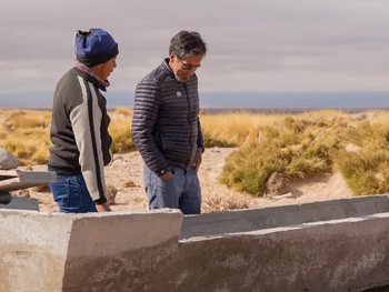 mara: glencore refuerza la ganaderia en catamarca con 7.000 cabezas de ganado