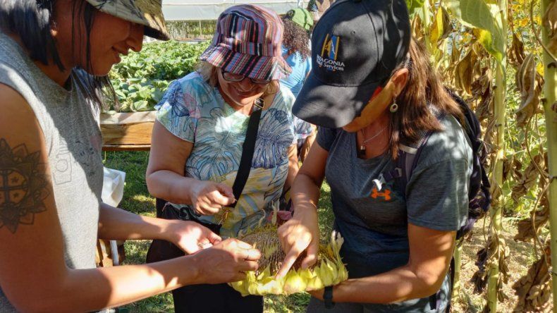 La conservación de las semillas, tema de un taller en Zapala La conservación de las semillas, tema de un taller en Zapala