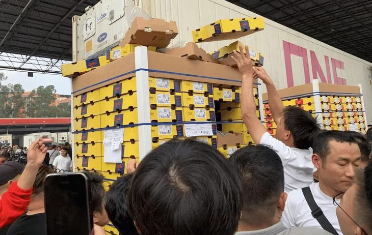 Más del 90% de las exportaciones de cereza chilena se concentran en China, un nivel de dependencia que hoy enciende alertas en toda la industria. Más del 90% de las exportaciones de cereza chilena se concentran en China, un nivel de dependencia que hoy enciende alertas en toda la industria.