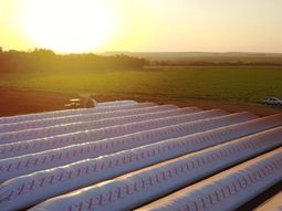 las exportaciones agroindustriales se desplomaron 35,8% las exportaciones agroindustriales se desplomaron 35,8%