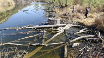denunciaron al epas por la contaminacion de una laguna en el parque industrial