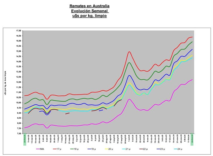 R&eacute;cord en la lana: El precio internacional sube un 62% anual y alcanza valores m&aacute;ximos desde 2019.