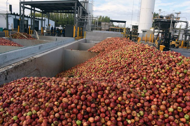 La menor cosecha provocada por heladas tard&iacute;as y episodios de granizo redujo significativamente el volumen destinado a jugos concentrados, desecados y otros derivados elaborados en la regi&oacute;n.