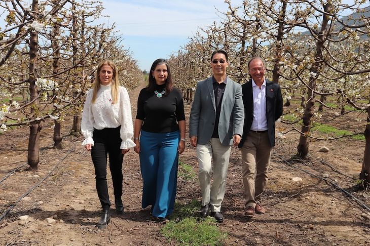 Funcionarios chilenos, el titular de Frutas de Chile y el embajador de la República Popular de China, recorriendo este fin de semana los campos de cerezas. Funcionarios chilenos, el titular de Frutas de Chile y el embajador de la República Popular de China, recorriendo este fin de semana los campos de cerezas.