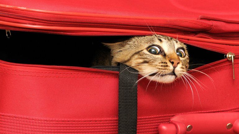 En un paseo urbano o en vacaciones