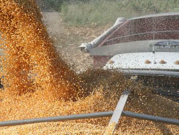 El campo puede dar mucho más de lo que hoy está dando. Solo hay que dejarlo producir.