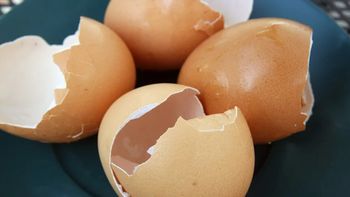 el truco infalible para limpiar ollas y sartenes con cascara de huevos el truco infalible para limpiar ollas y sartenes con cascara de huevos