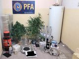 La Federal detuvo en pleno centro neuquino a un rosarino que vendía droga por Telegram