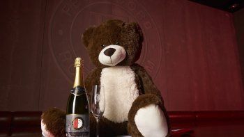 la particular bienvenida del feyenoord al oso pratto la particular bienvenida del feyenoord al oso pratto