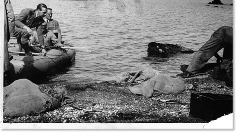 Castores liberados en Tierra del Fuego, en 1946. | LM Neuquen Castores liberados en Tierra del Fuego, en 1946.